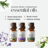 Aroma Bliss Collection Oils pack of 3
