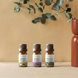 Aroma Bliss Collection Oils pack of 3
