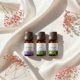 SLEEP THERAPY COLLECTION