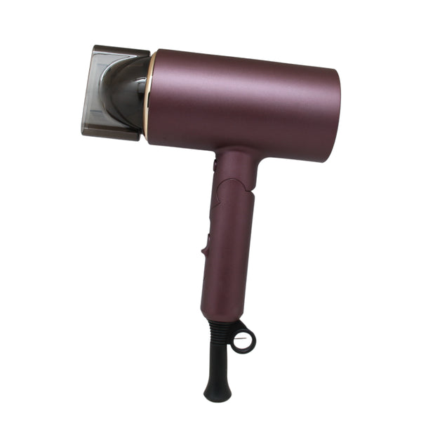 PORTABLE HAIR DRYER